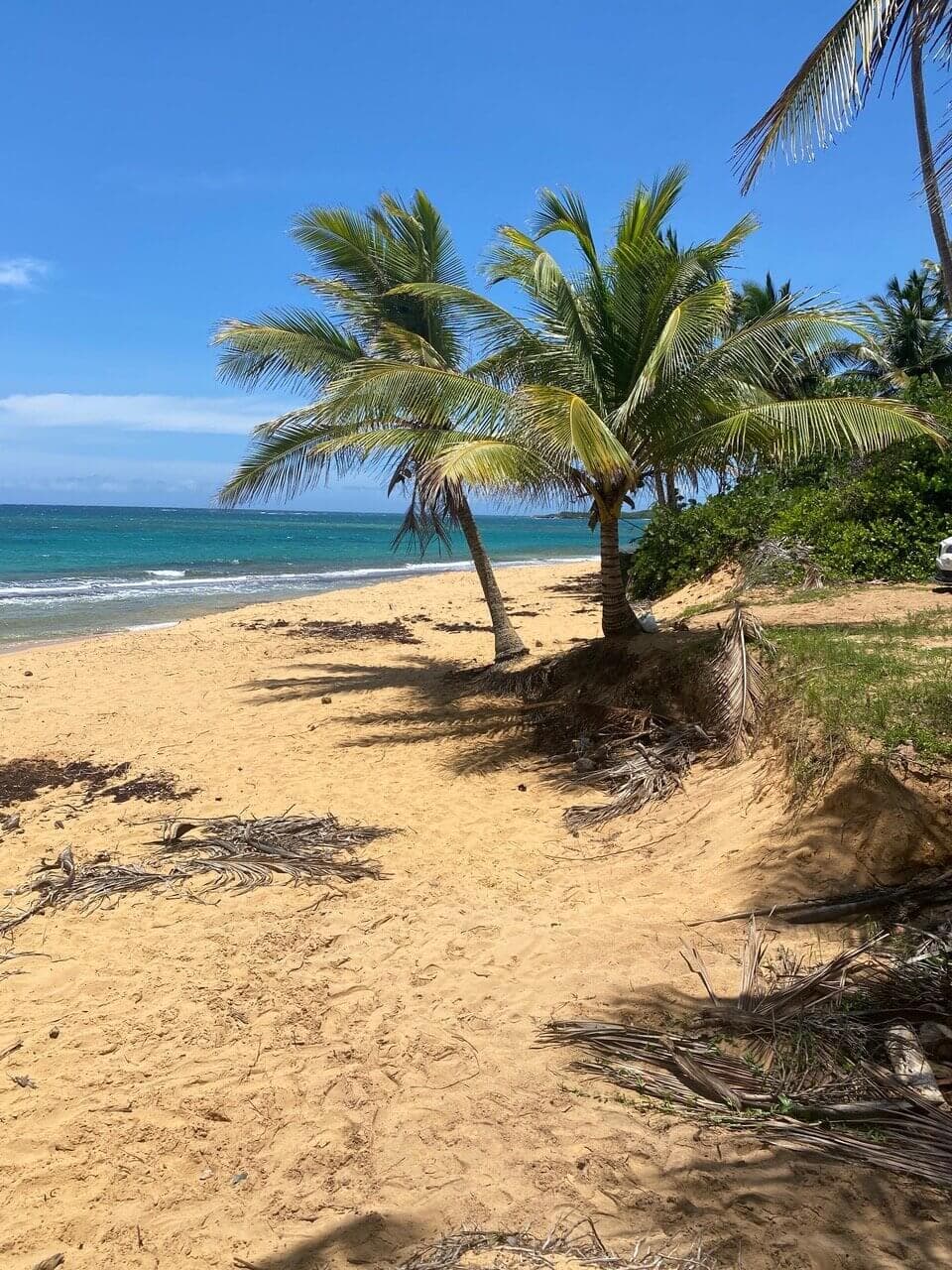 VIP Caribbean Cruise: Miami to Puerto Rico & Beyond