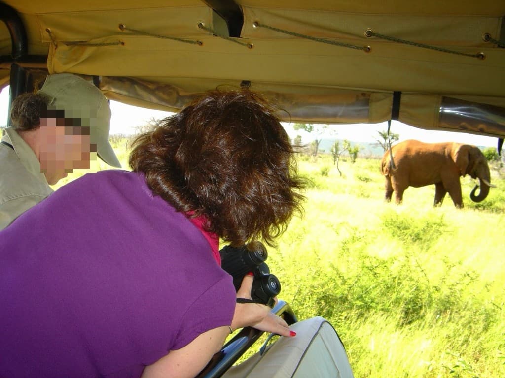 South Africa: Safari, Cape Town & VIP Adventure