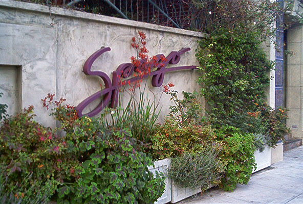 Exterior sign for Spago restaurant in Beverly Hills, with planters and greenery along the stone wall